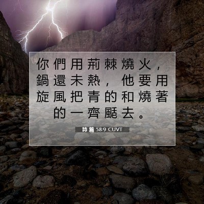 Picture 07 - 詩 篇 58:9 CUVT - 你 們 用 荊 棘 燒 火 ， 鍋 還 未 熱 - Bible Verse Picture