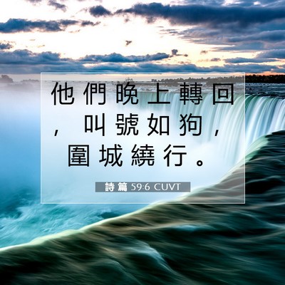 Picture 07 - 詩 篇 59:6 CUVT - 他 們 晚 上 轉 回 ， 叫 號 如 狗 ， - Bible Verse Picture