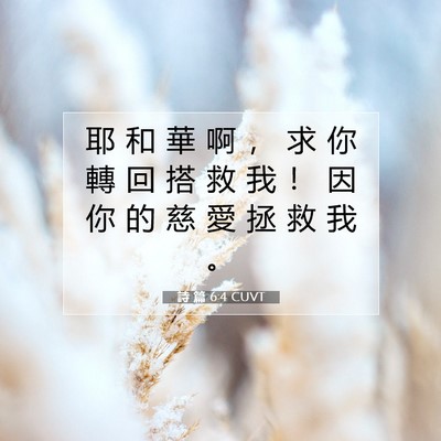 Picture 07 - 詩 篇 6:4 CUVT - 耶 和 華 啊 ， 求 你 轉 回 搭 救 我 - Bible Verse Picture