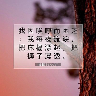 Picture 07 - 詩 篇 6:6 CUVT - 我 因 唉 哼 而 困 乏 ； 我 每 夜 流 - Bible Verse Picture