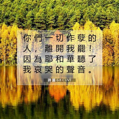 Picture 07 - 詩 篇 6:8 CUVT - 你 們 一 切 作 孽 的 人 ， 離 開 我 - Bible Verse Picture