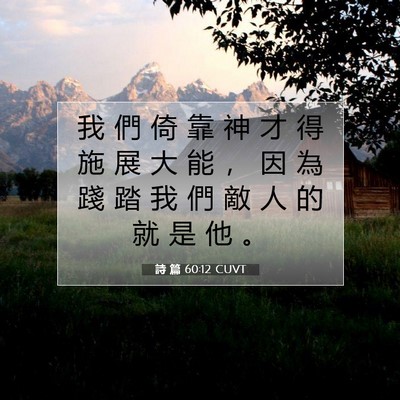 Picture 07 - 詩 篇 60:12 CUVT - 我 們 倚 靠 神 才 得 施 展 大 能 ， - Bible Verse Picture