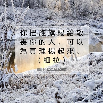 Picture 07 - 詩 篇 60:4 CUVT - 你 把 旌 旗 賜 給 敬 畏 你 的 人 ， - Bible Verse Picture