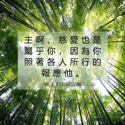 Picture 07 - 詩 篇 62:12 CUVT - 主 啊 ， 慈 愛 也 是 屬 乎 你 ， 因 - Bible Verse Picture