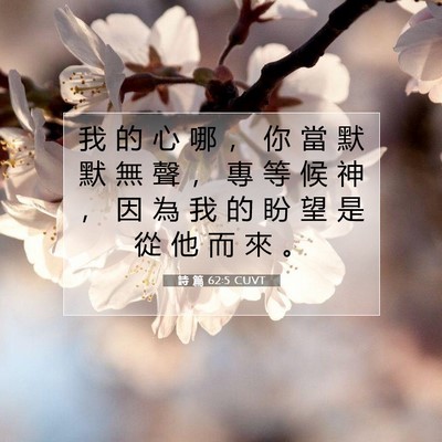 Picture 07 - 詩 篇 62:5 CUVT - 我 的 心 哪 ， 你 當 默 默 無 聲 ， - Bible Verse Picture