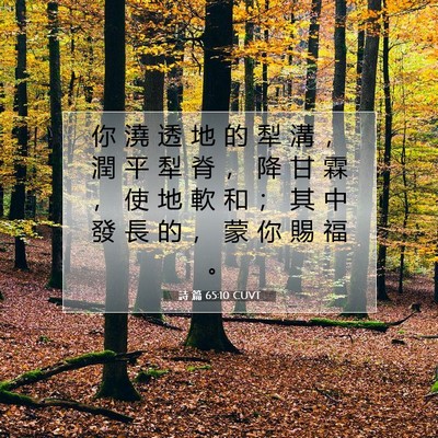Picture 07 - 詩 篇 65:10 CUVT - 你 澆 透 地 的 犁 溝 ， 潤 平 犁 脊 - Bible Verse Picture