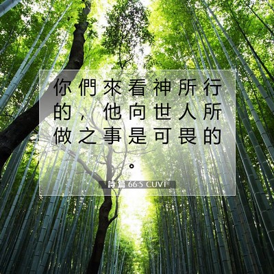 Picture 07 - 詩 篇 66:5 CUVT - 你 們 來 看 神 所 行 的 ， 他 向 世 - Bible Verse Picture