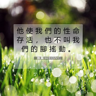 Picture 07 - 詩 篇 66:9 CUVT - 他 使 我 們 的 性 命 存 活 ， 也 不 - Bible Verse Picture