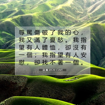 Picture 07 - 詩 篇 69:20 CUVT - 辱 罵 傷 破 了 我 的 心 ， 我 又 滿 - Bible Verse Picture