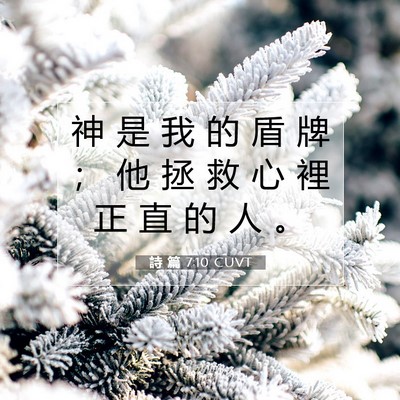 Picture 07 - 詩 篇 7:10 CUVT - 神 是 我 的 盾 牌 ； 他 拯 救 心 裡 - Bible Verse Picture