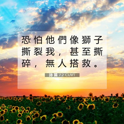 Picture 07 - 詩 篇 7:2 CUVT - 恐 怕 他 們 像 獅 子 撕 裂 我 ， 甚 - Bible Verse Picture