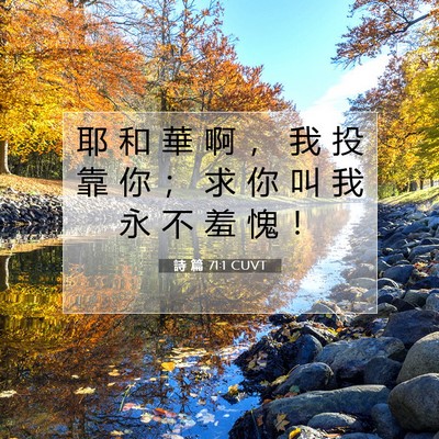 Picture 07 - 詩 篇 71:1 CUVT - 耶 和 華 啊 ， 我 投 靠 你 ； 求 你 - Bible Verse Picture