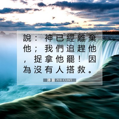 Picture 07 - 詩 篇 71:11 CUVT - 說 ： 神 已 經 離 棄 他 ； 我 們 追 - Bible Verse Picture