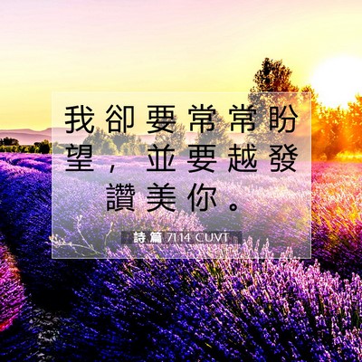 Picture 07 - 詩 篇 71:14 CUVT - 我 卻 要 常 常 盼 望 ， 並 要 越 發 - Bible Verse Picture