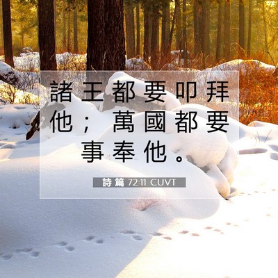Picture 07 - 詩 篇 72:11 CUVT - 諸 王 都 要 叩 拜 他 ； 萬 國 都 要 - Bible Verse Picture