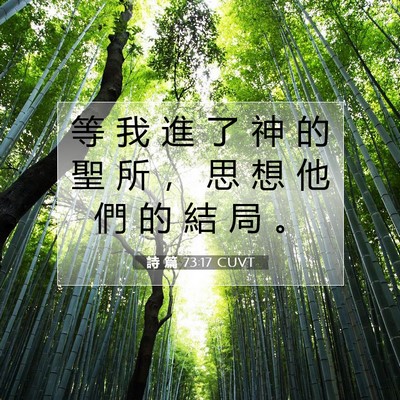Picture 07 - 詩 篇 73:17 CUVT - 等 我 進 了 神 的 聖 所 ， 思 想 他 - Bible Verse Picture