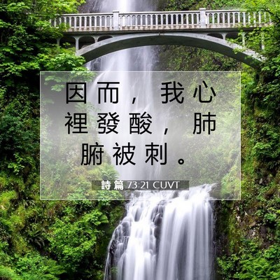 Picture 07 - 詩 篇 73:21 CUVT - 因 而 ， 我 心 裡 發 酸 ， 肺 腑 被 - Bible Verse Picture