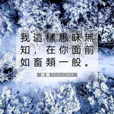 Picture 07 - 詩 篇 73:22 CUVT - 我 這 樣 愚 昧 無 知 ， 在 你 面 前 - Bible Verse Picture