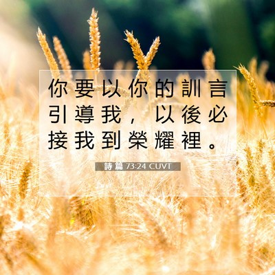 Picture 07 - 詩 篇 73:24 CUVT - 你 要 以 你 的 訓 言 引 導 我 ， 以 - Bible Verse Picture