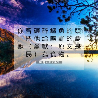 Picture 07 - 詩 篇 74:14 CUVT - 你 曾 砸 碎 鱷 魚 的 頭 ， 把 他 給 - Bible Verse Picture