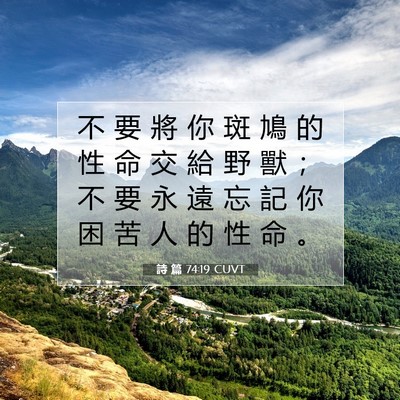 Picture 07 - 詩 篇 74:19 CUVT - 不 要 將 你 斑 鳩 的 性 命 交 給 野 - Bible Verse Picture