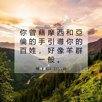 Picture 07 - 詩 篇 77:20 CUVT - 你 曾 藉 摩 西 和 亞 倫 的 手 引 導 - Bible Verse Picture
