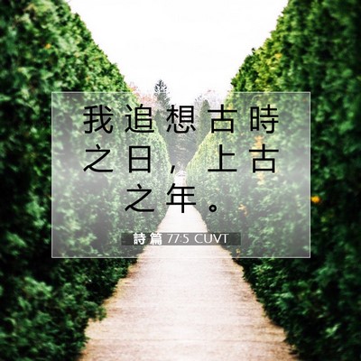 Picture 07 - 詩 篇 77:5 CUVT - 我 追 想 古 時 之 日 ， 上 古 之 年 - Bible Verse Picture