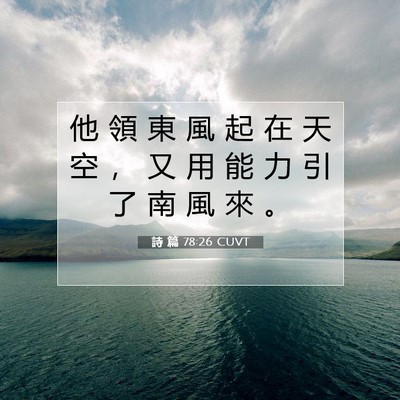 Picture 07 - 詩 篇 78:26 CUVT - 他 領 東 風 起 在 天 空 ， 又 用 能 - Bible Verse Picture