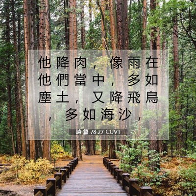 Picture 07 - 詩 篇 78:27 CUVT - 他 降 肉 ， 像 雨 在 他 們 當 中 ， - Bible Verse Picture