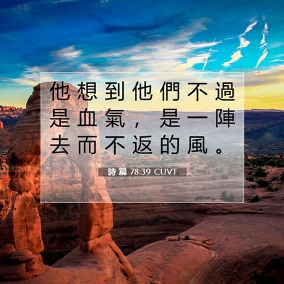Picture 07 - 詩 篇 78:39 CUVT - 他 想 到 他 們 不 過 是 血 氣 ， 是 - Bible Verse Picture