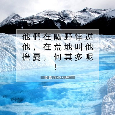 Picture 07 - 詩 篇 78:40 CUVT - 他 們 在 曠 野 悖 逆 他 ， 在 荒 地 - Bible Verse Picture