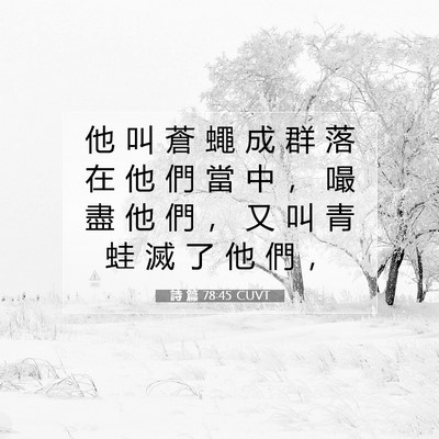 Picture 07 - 詩 篇 78:45 CUVT - 他 叫 蒼 蠅 成 群 落 在 他 們 當 中 - Bible Verse Picture