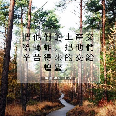 Picture 07 - 詩 篇 78:46 CUVT - 把 他 們 的 土 產 交 給 螞 蚱 ， 把 - Bible Verse Picture