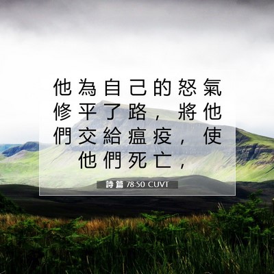 Picture 07 - 詩 篇 78:50 CUVT - 他 為 自 己 的 怒 氣 修 平 了 路 ， - Bible Verse Picture