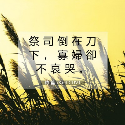 Picture 07 - 詩 篇 78:64 CUVT - 祭 司 倒 在 刀 下 ， 寡 婦 卻 不 哀 - Bible Verse Picture