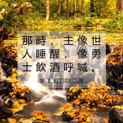 Picture 07 - 詩 篇 78:65 CUVT - 那 時 ， 主 像 世 人 睡 醒 ， 像 勇 - Bible Verse Picture
