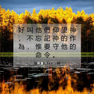 Picture 07 - 詩 篇 78:7 CUVT - 好 叫 他 們 仰 望 神 ， 不 忘 記 神 - Bible Verse Picture