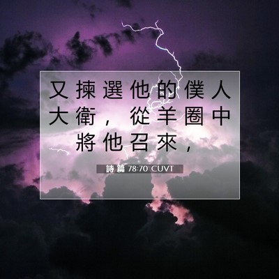 Picture 07 - 詩 篇 78:70 CUVT - 又 揀 選 他 的 僕 人 大 衛 ， 從 羊 - Bible Verse Picture