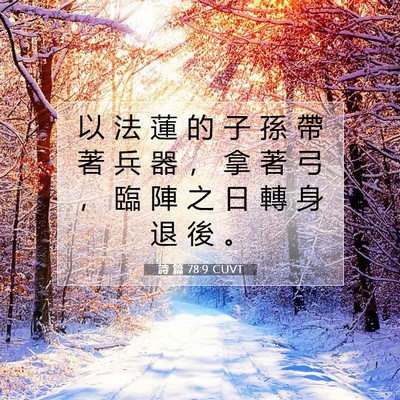 Picture 07 - 詩 篇 78:9 CUVT - 以 法 蓮 的 子 孫 帶 著 兵 器 ， 拿 - Bible Verse Picture