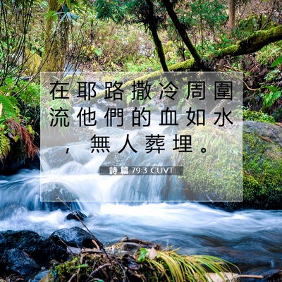 Picture 07 - 詩 篇 79:3 CUVT - 在 耶 路 撒 冷 周 圍 流 他 們 的 血 - Bible Verse Picture