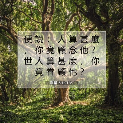 Picture 07 - 詩 篇 8:4 CUVT - 便 說 ： 人 算 甚 麼 ， 你 竟 顧 念 - Bible Verse Picture