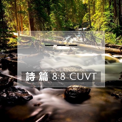 Picture 07 - 詩 篇 8:8 CUVT -  - Bible Verse Picture