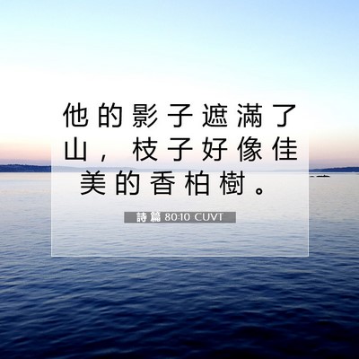 Picture 07 - 詩 篇 80:10 CUVT - 他 的 影 子 遮 滿 了 山 ， 枝 子 好 - Bible Verse Picture