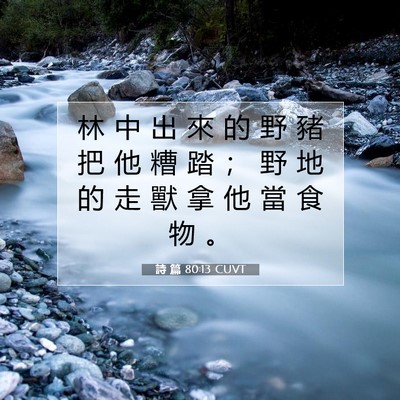 Picture 07 - 詩 篇 80:13 CUVT - 林 中 出 來 的 野 豬 把 他 糟 踏 ； - Bible Verse Picture