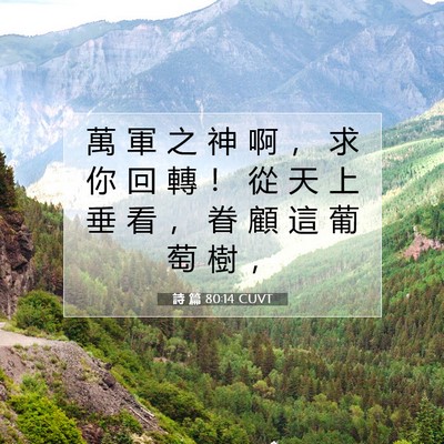 Picture 07 - 詩 篇 80:14 CUVT - 萬 軍 之 神 啊 ， 求 你 回 轉 ！ 從 - Bible Verse Picture