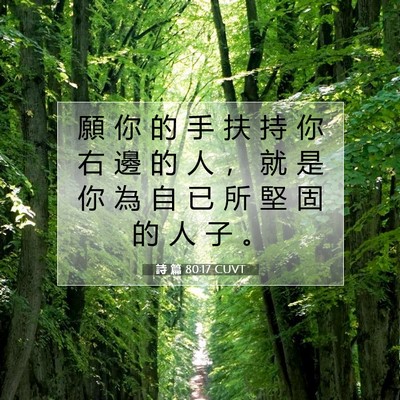 Picture 07 - 詩 篇 80:17 CUVT - 願 你 的 手 扶 持 你 右 邊 的 人 ， - Bible Verse Picture