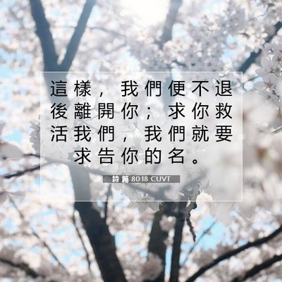 Picture 07 - 詩 篇 80:18 CUVT - 這 樣 ， 我 們 便 不 退 後 離 開 你 - Bible Verse Picture