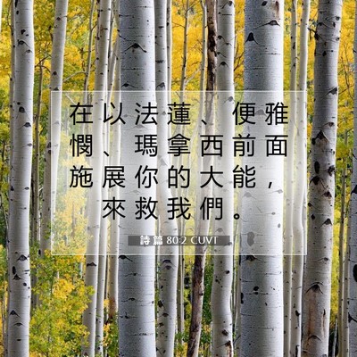 Picture 07 - 詩 篇 80:2 CUVT - 在 以 法 蓮 、 便 雅 憫 、 瑪 拿 西 - Bible Verse Picture