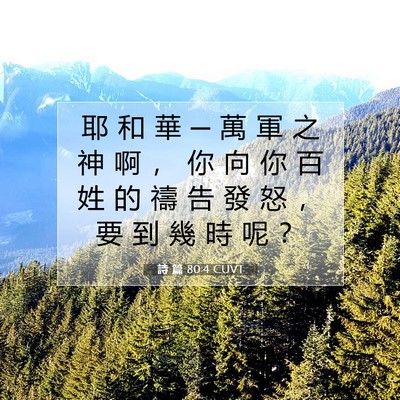 Picture 07 - 詩 篇 80:4 CUVT - 耶 和 華 ─ 萬 軍 之 神 啊 ， 你 向 - Bible Verse Picture