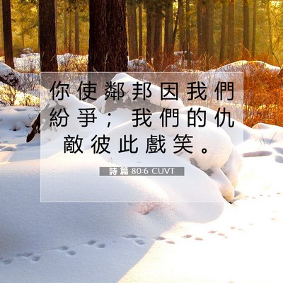 Picture 07 - 詩 篇 80:6 CUVT - 你 使 鄰 邦 因 我 們 紛 爭 ； 我 們 - Bible Verse Picture